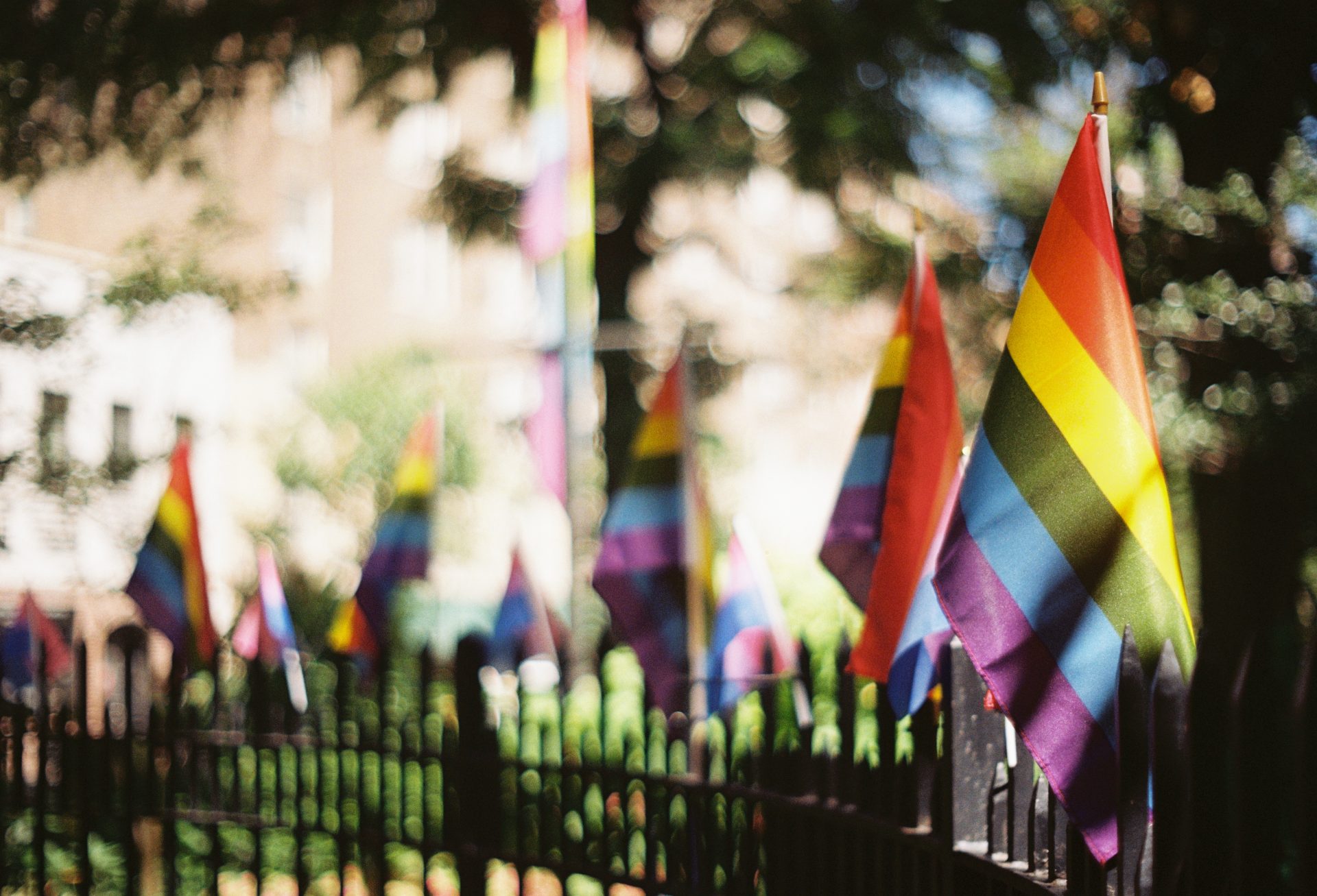 Du betrachtest gerade Queerfeindliche Mobilisierungsdynamiken